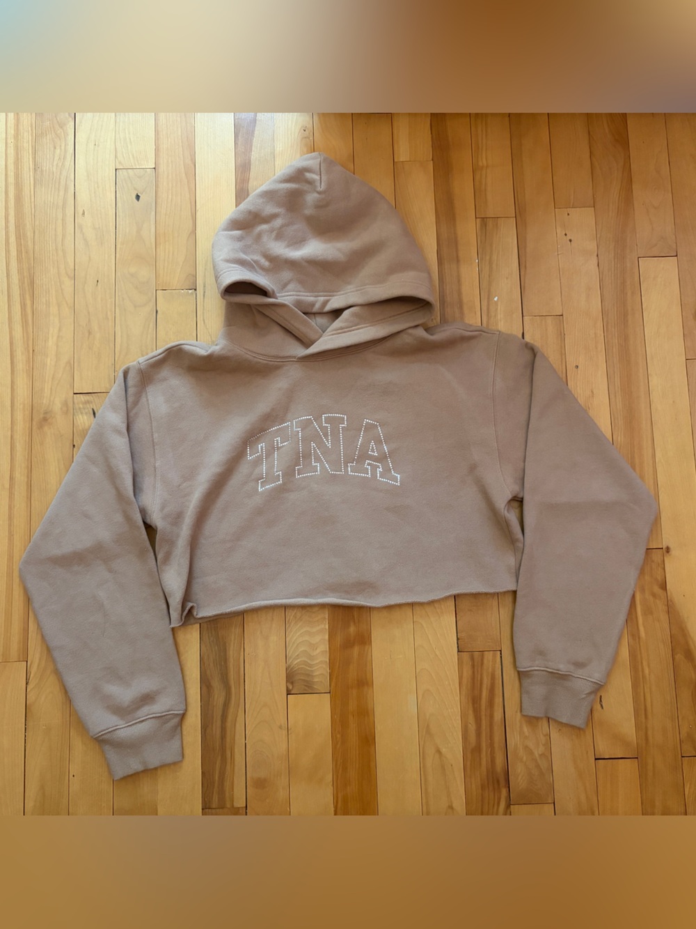 Aritzia - TNA Cropped Logo Hoodie